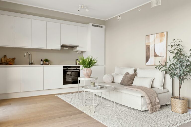 a modern, minimalist, organized, small apartment, with a bedroom and open kitchen