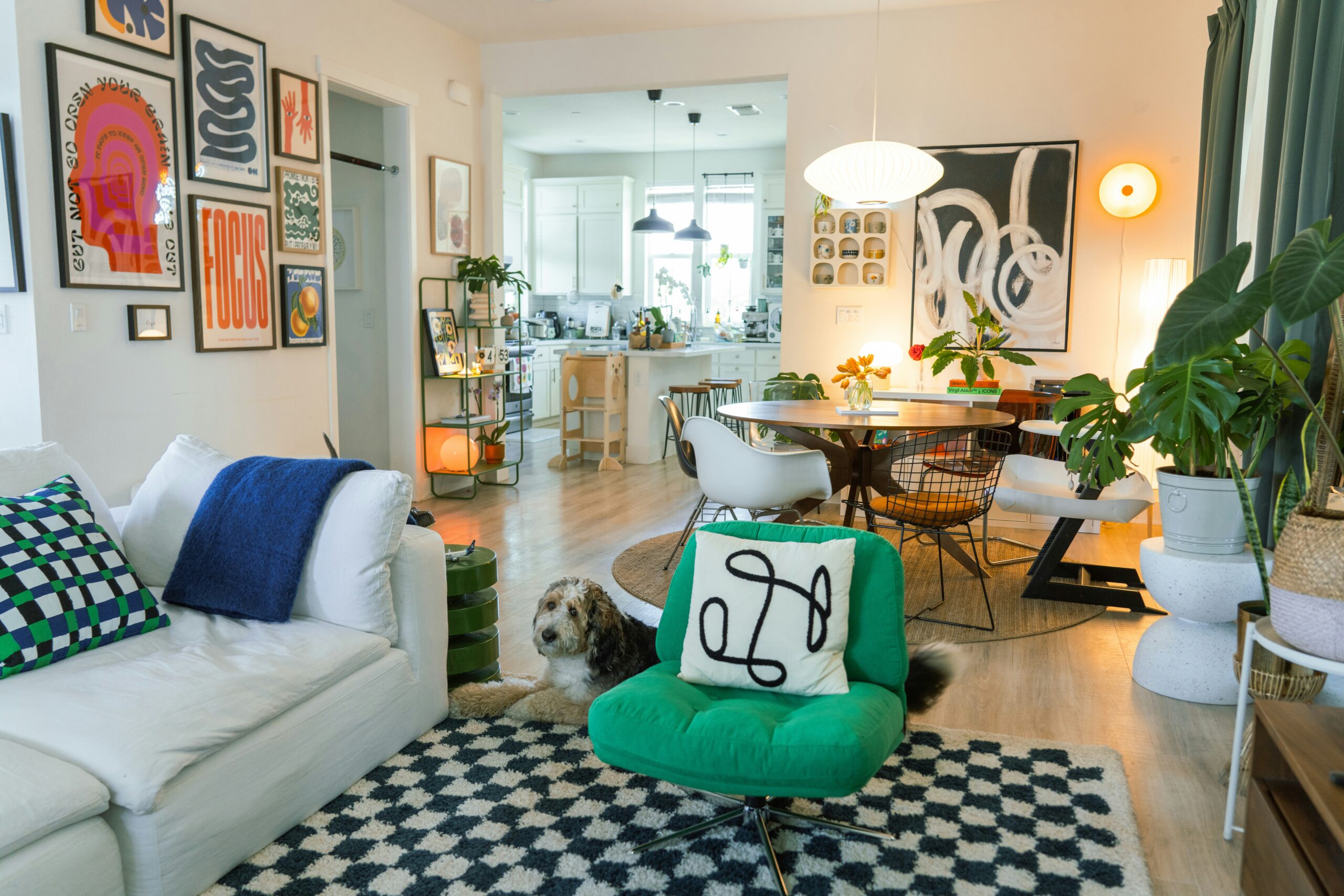 modern apartment with houseplants, easy houseplants for beginners